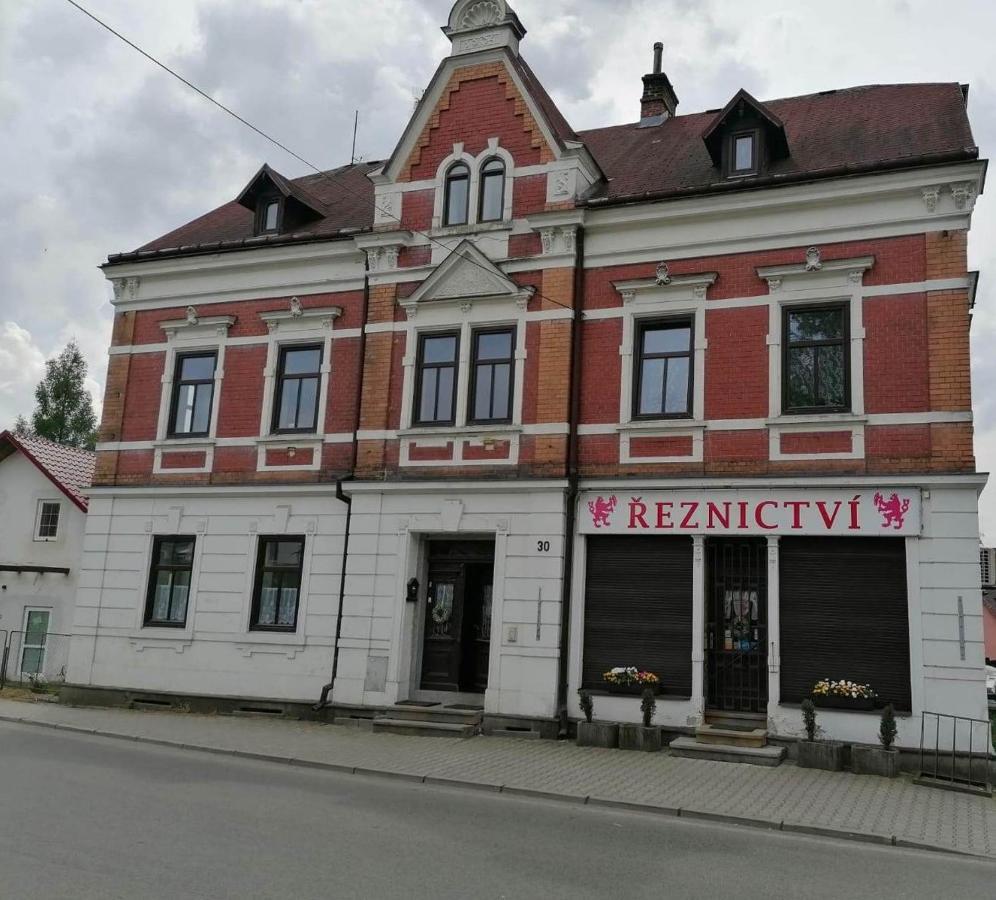 Apartman Krkovicka Mikulášovice Eksteriør billede